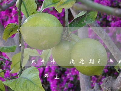 太平洋貸款逾期2年(太平洋貸款還了一年多還不上)