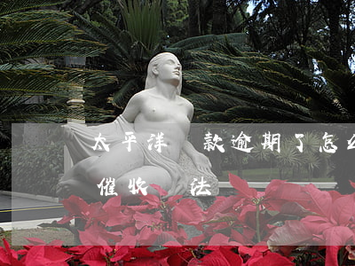太平洋貸款逾期了怎么辦(太平洋太享貸暴力催收違法嗎)