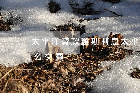 太平洋貸款逾期利息(太平洋保險貸款逾期怎么交費)