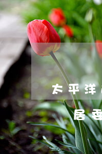 太平洋逾期-太平洋逾期說已交司法部門,申請居委會協(xié)助備案