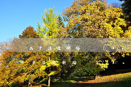 太平洋逾期起訴會(huì)起訴配偶嗎（太平洋逾期起訴會(huì)起訴配偶嗎）