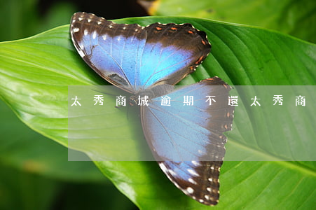 太秀商城逾期不還(太秀商城倒閉了嗎)