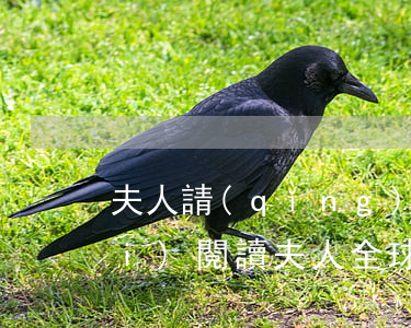夫人請(qǐng)求等你離婚(免費(fèi)閱讀夫人全球都在等你離婚)
