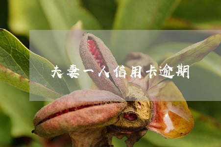 夫妻一人信用卡逾期