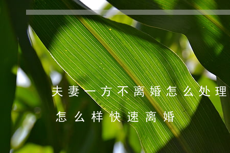 夫妻一方不离婚怎么处理(夫妻一方不肯离婚怎么样快速离婚)