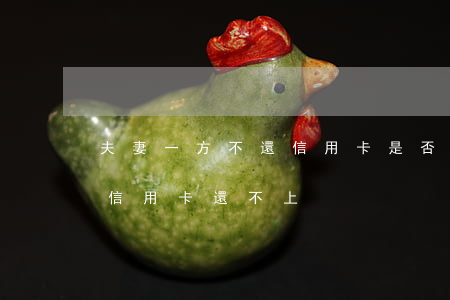 夫妻一方不還信用卡是否會(夫妻雙方有一方信用卡還不上)