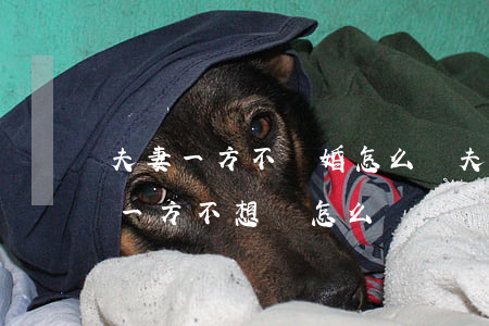 夫妻一方不離婚怎么辦(夫妻雙方一方想離婚一方不想離怎么辦)