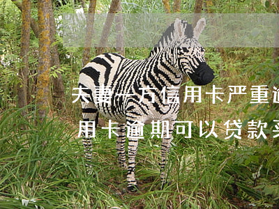 夫妻一方信用卡严重逾期贷款(夫妻一方有信用卡逾期可以贷款买房吗)