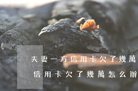 夫妻一方信用卡欠了幾萬怎么辦-夫妻一方信用卡欠了幾萬怎么辦理