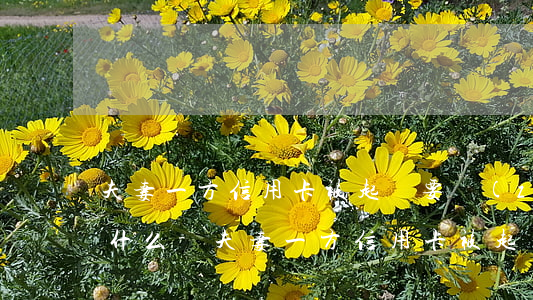 夫妻一方信用卡被起訴要準(zhǔn)備什么-夫妻一方信用卡被起訴要準(zhǔn)備什么材料