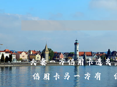 夫妻一方信用卡透支怎么辦(夫妻有一方透支信用卡,另一方有責任幫還嗎)