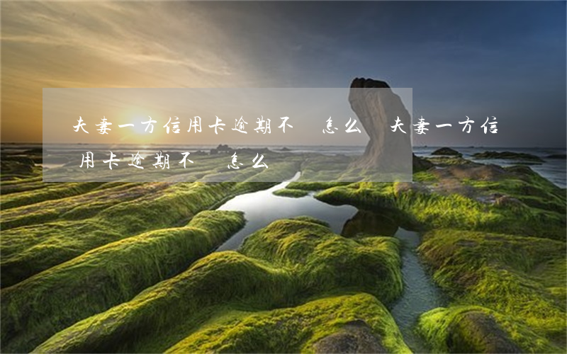 夫妻一方信用卡逾期不給怎么辦 夫妻一方信用卡逾期不給怎么辦