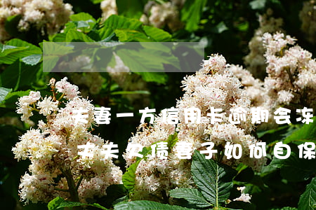 夫妻一方信用卡逾期会冻结另一方账户吗-丈夫欠债妻子如何自保