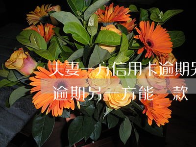 夫妻一方信用卡逾期另一方(夫妻一方信用卡逾期另一方能貸款嗎)