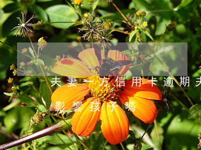 夫妻一方信用卡逾期(夫妻一方信用卡逾期會影響孩子嗎)