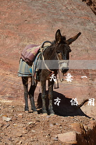 夫妻一方信用卡逾期对方会怎么样-夫妻一方信用卡逾期对方会怎么样处理