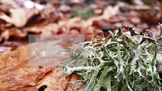 夫妻一方信用卡逾期對(duì)方會(huì)怎么樣-夫妻一方信用卡逾期對(duì)方會(huì)怎么樣處理