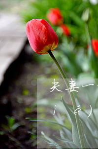 夫妻一方信用卡逾期會(huì)凍結(jié)另一方銀行卡嗎-夫妻一方信用卡逾期會(huì)凍結(jié)另一方銀行卡嗎