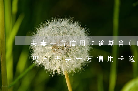夫妻一方信用卡逾期會(huì)影響孩子嗎-夫妻一方信用卡逾期會(huì)影響孩子嗎知乎