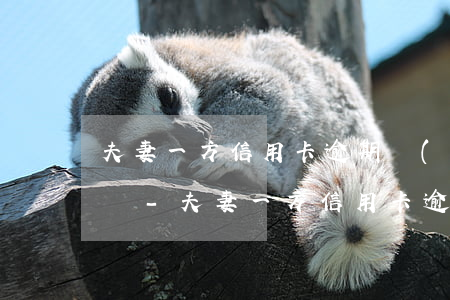 夫妻一方信用卡逾期會(huì)影響家庭嗎-夫妻一方信用卡逾期會(huì)影響家庭嗎知乎