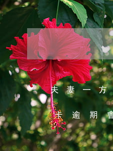 夫妻一方信用卡逾期會坐牢嗎(夫妻一方信用卡逾期會坐牢嗎嗎)