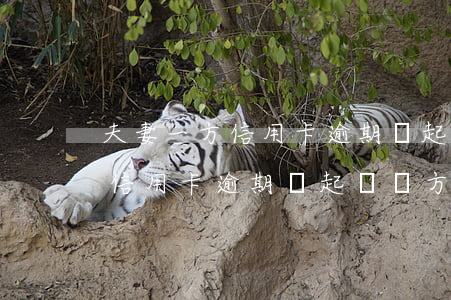 夫妻一方信用卡逾期會起訴雙方嗎（夫妻一方信用卡逾期會起訴雙方嗎）