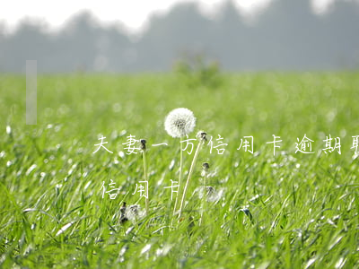 夫妻一方信用卡逾期联系不到-夫妻一方欠信用卡