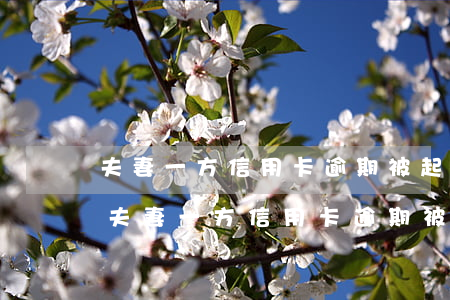 夫妻一方信用卡逾期被起訴,會連累另一方-夫妻一方信用卡逾期被起訴,會連累另一方嗎