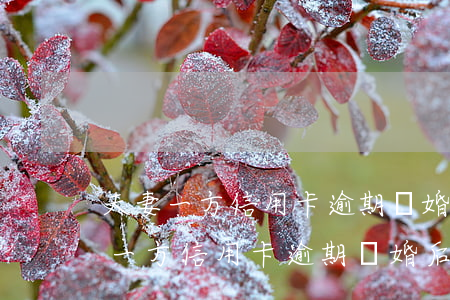夫妻一方信用卡逾期離婚后有影響嗎-夫妻一方信用卡逾期離婚后有影響嗎知乎