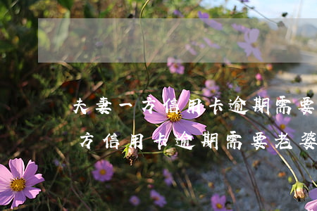 夫妻一方信用卡逾期需要老婆還嗎-夫妻一方信用卡逾期需要老婆還嗎怎么辦