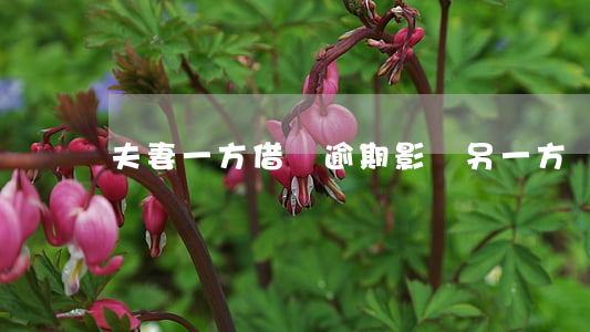 夫妻一方借唄逾期影響另一方嗎-