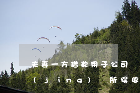 夫妻一方借款用于公司經(jīng)營，經(jīng)營所得收益形成夫妻共同財產(chǎn)的，該借款應(yīng)認(rèn)定為夫妻共同債務(wù)