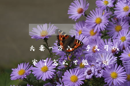 夫妻一方入獄多久可以離婚(夫妻雙方一方坐牢了,怎么才能離婚)