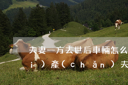 夫妻一方去世后車輛怎么繼承(婚前財(cái)產(chǎn)夫妻一方去世怎么繼承)