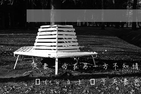 夫妻一方在另一方不知情的情況下所借的債務(wù)屬于夫妻共同債務(wù)嗎
