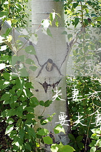 夫妻一方大量透支信用卡(個人信用卡透支,需要夫妻還嗎)