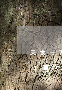 夫妻一方征信有逾期可以貸款買房嗎（夫妻交了首付才發(fā)現(xiàn)征信有逾期）