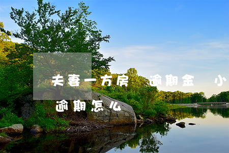 夫妻一方房貸逾期金額小(夫妻倆買房一方有逾期怎么辦)
