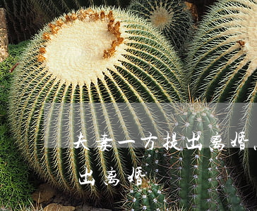 夫妻一方提出离婚怎么离(夫妻一方单方面提出离婚)