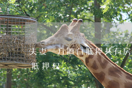 夫妻一方擅自抵押共有房屋，债权人能否取得抵押权
