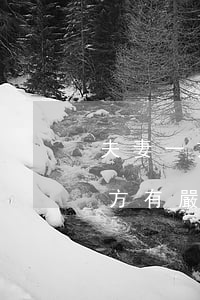 夫妻一方有嚴重征信逾期會怎么樣-夫妻一方有嚴重征信逾期會怎么樣嗎