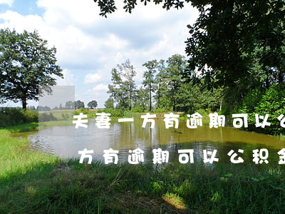 夫妻一方有逾期可以公积金贷款吗-夫妻一方有逾期可以公积金贷款吗