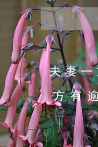 夫妻一方有逾期可以公積金貸款嗎-夫妻一方有逾期可以公積金貸款嗎