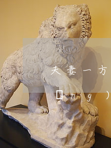 夫妻一方有逾期能貸款嗎(夫妻一方有網(wǎng)貸,沒(méi)有過(guò)逾期,影響一方在銀行貸款嗎)