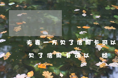 夫妻一方欠了信用卡可以離婚嗎-夫妻一方欠了信用卡可以離婚嗎怎么辦