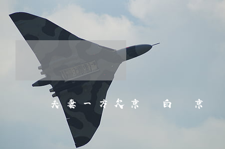 夫妻一方欠京東白條(京東白條是欠條嗎)