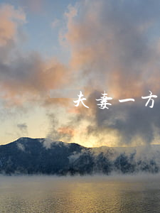 夫妻一方欠信用卡会起诉配偶吗-