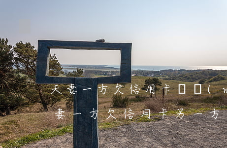 夫妻一方欠信用卡債務(wù)如何分割(夫妻一方欠信用卡另一方需要還嗎)