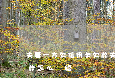 夫妻一方欠信用卡欠款(夫妻一方欠信用卡欠款怎么離婚)