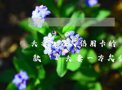 夫妻一方欠信用卡的錢(qián)可以貸款嗎-夫妻一方欠信用卡的錢(qián)可以貸款嗎知乎